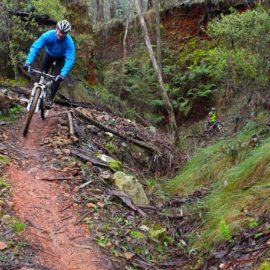 MTB Yackandandah Mountain Bike Park Ride High Country