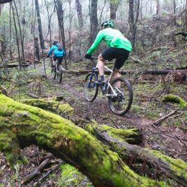 Yackandandah Mountain Bike Park Kokoda Purple Loop