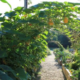 Yackandandah Community Garden